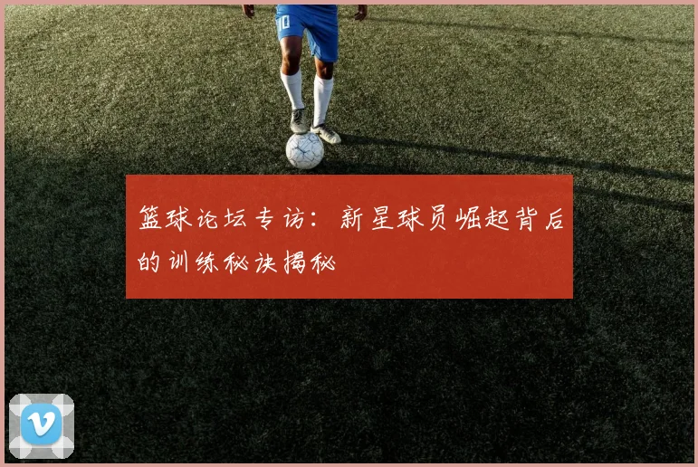 篮球论坛专访:新星球员崛起背后的训练秘诀揭秘