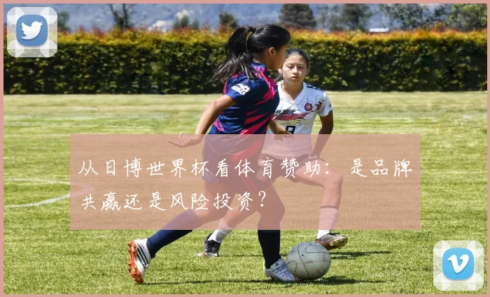 从日博世界杯看体育赞助：是品牌共赢还是风险投资？
