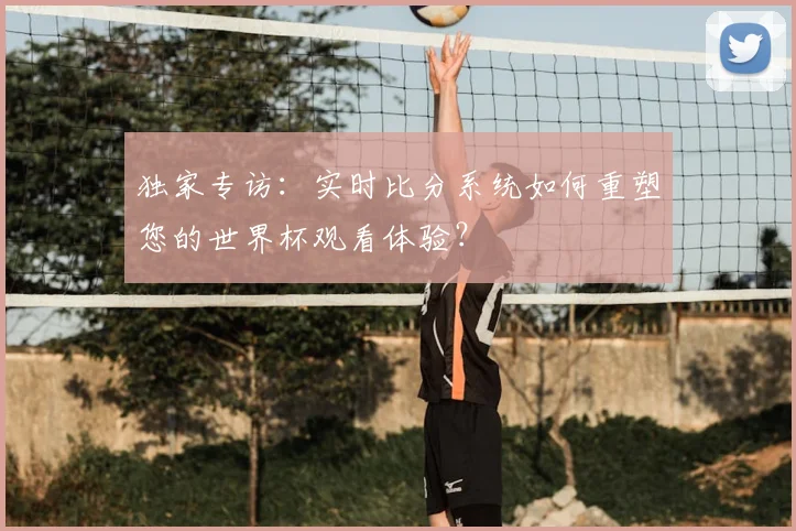 独家专访：实时比分系统如何重塑您的世界杯观看体验？