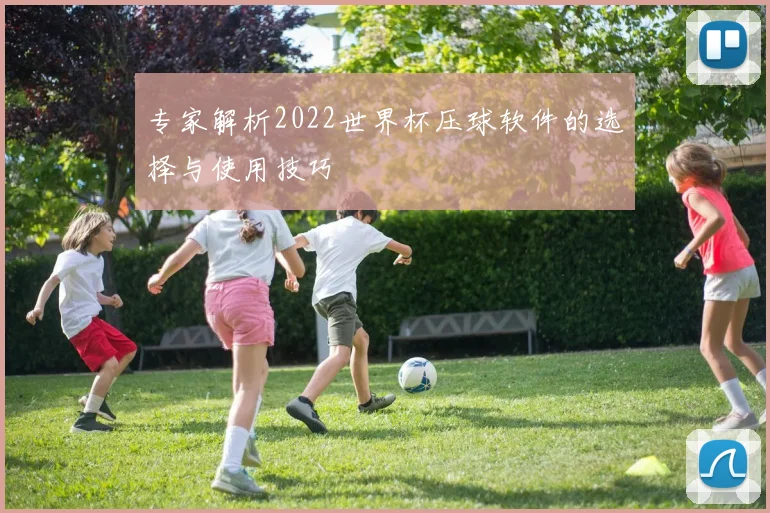 专家解析2022世界杯压球软件的选择与使用技巧