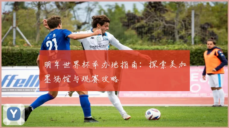 明年世界杯举办地指南：探索美加墨场馆与观赛攻略